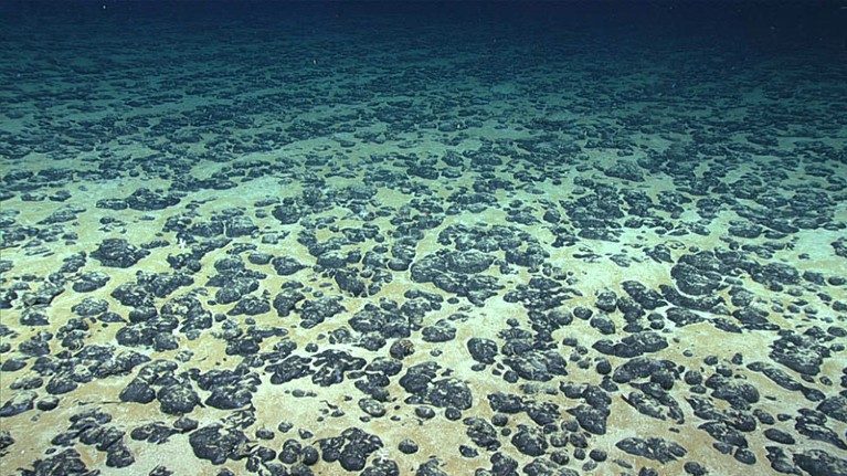 Major ocean database that will guide deep-sea mining has flaws, scientists warn