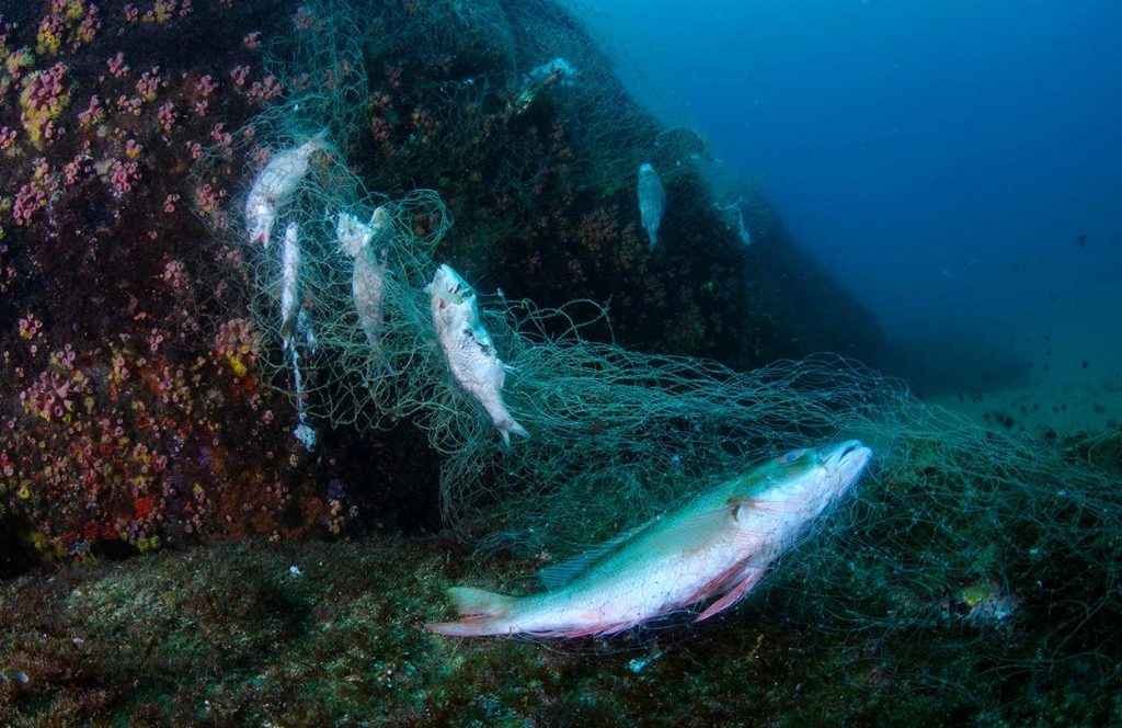 Striking images show plastic litter in the world’s most remote coral reefs