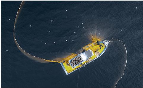 Scientists unveil plans for underwater AI bot that detects illegal fishing