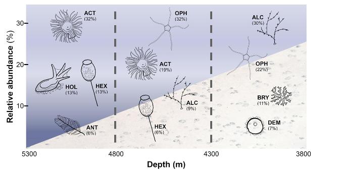 Faunal Boundary Line Discovered Across the Deep Pacific Ocean