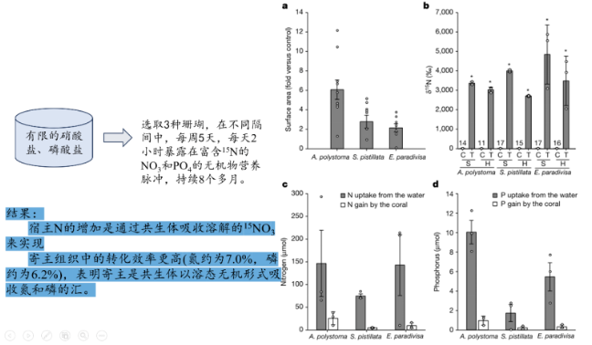 造礁珊瑚以光合共生体为食