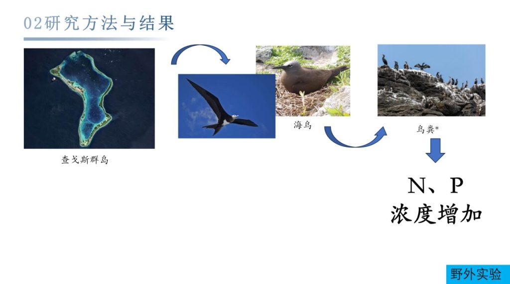 造礁珊瑚以光合共生体为食
