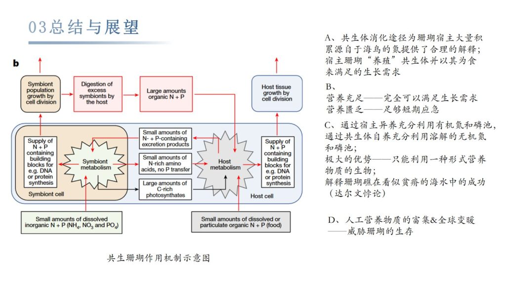 造礁珊瑚以光合共生体为食