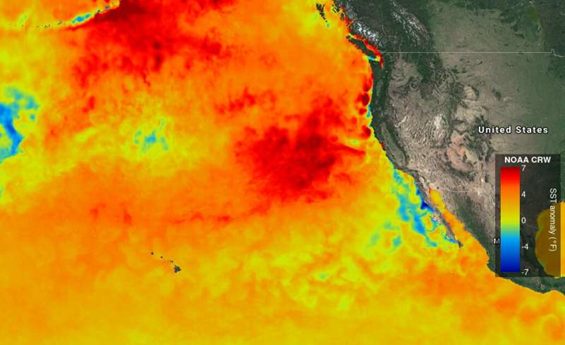  《Nature》陆地和海洋综合管理有利于珊瑚礁在全球变暖时恢复