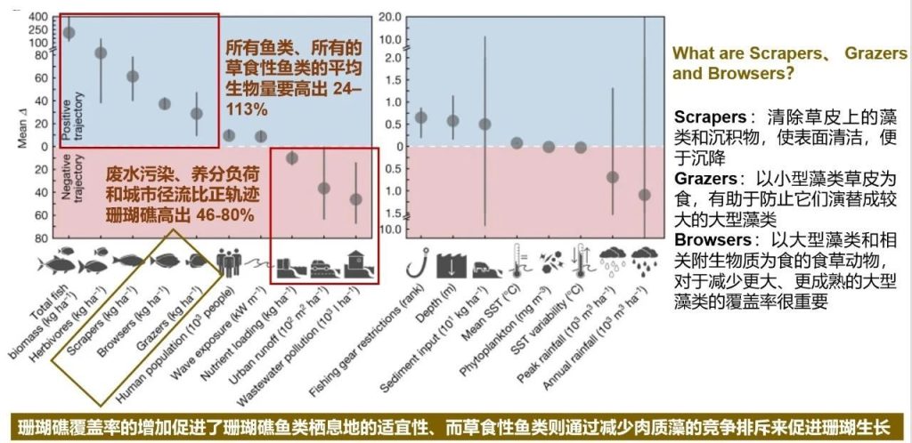  《Nature》陆地和海洋综合管理有利于珊瑚礁在全球变暖时恢复