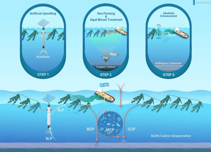 《The Innovation Geoscience》海洋负排放生态工程新范式路线图