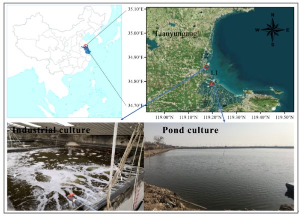  《Environmental Pollution》内陆海水养殖生物和水体系统中污染物的发生：对虾养殖是一个微塑料积累的过程