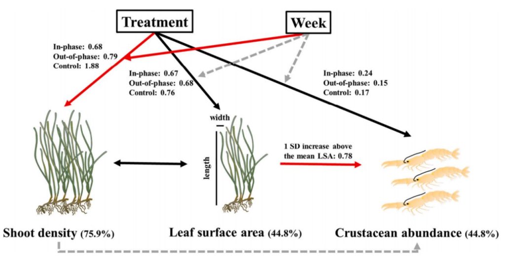《Science of the Total Environment》文章：相较静态压力源，压力源波动引起海草群落反应机制的转变
