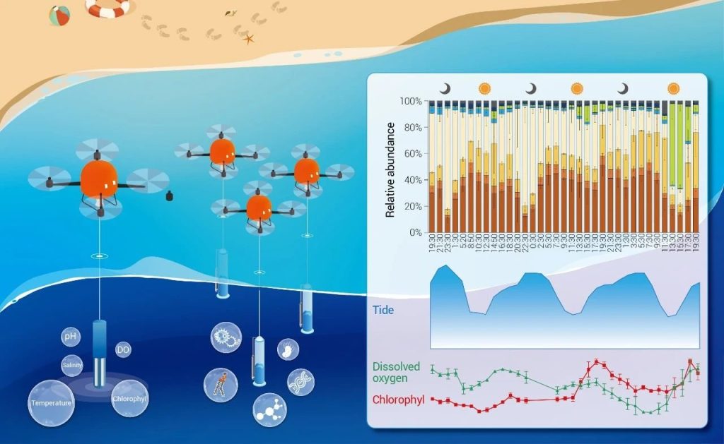  《Science》基于无人机阵列新型技术的亚热带海湾浮游微生物昼夜节律变化研究