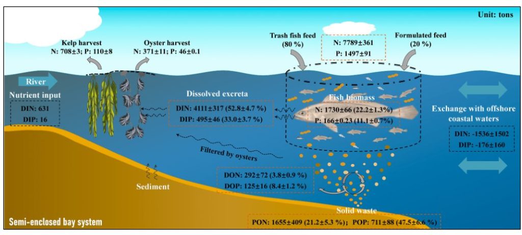 《Marine Pollution Bulletin》文章：集约化海水养殖系统中营养盐循环的评价