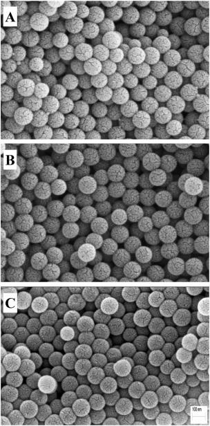  Materials and methods