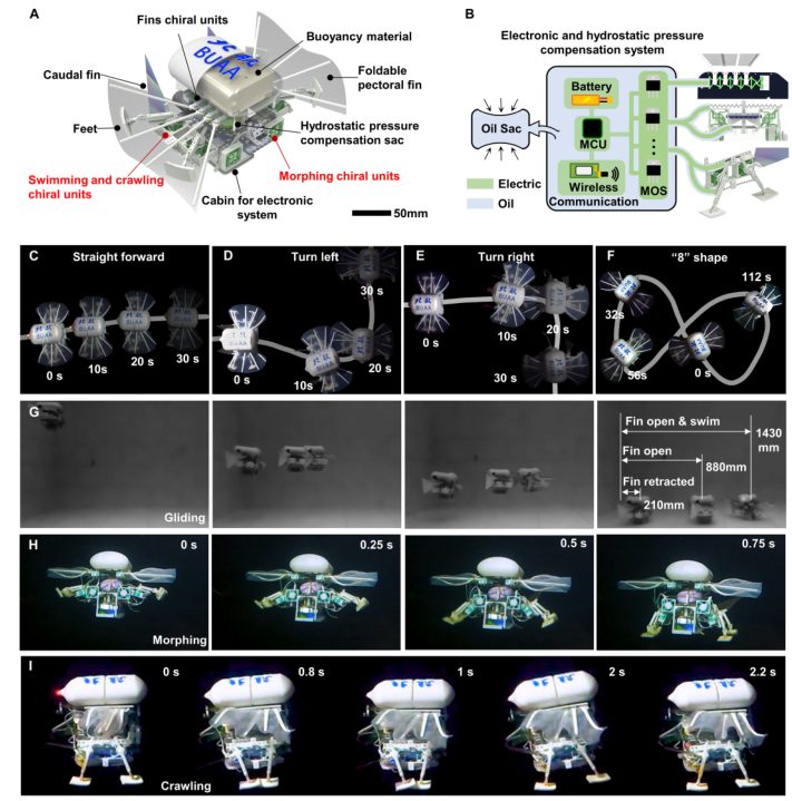 《Science Robotics》文章：具有多模式运动的微型深海变形机器人