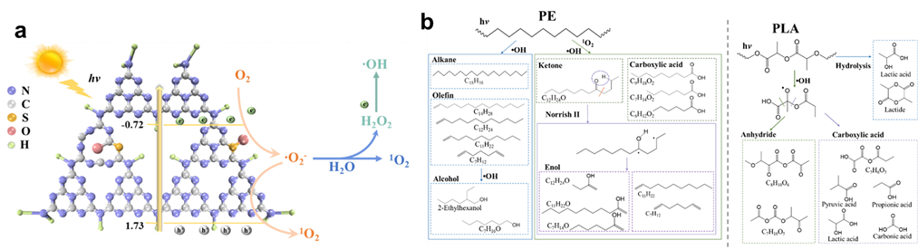 《Acta Physico-Chimica Sinica》调节氧、硫共掺杂C<sub>3</sub>N<sub>4</sub>中的活性氧生成以促进微塑料的光催化降解
