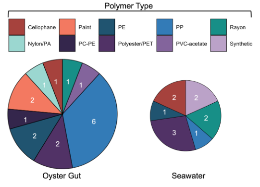 《Marine Environmental Research》文章：贝类养殖场及其附近的微塑料丰度:东方牡蛎(美洲牡蛎)移植研究